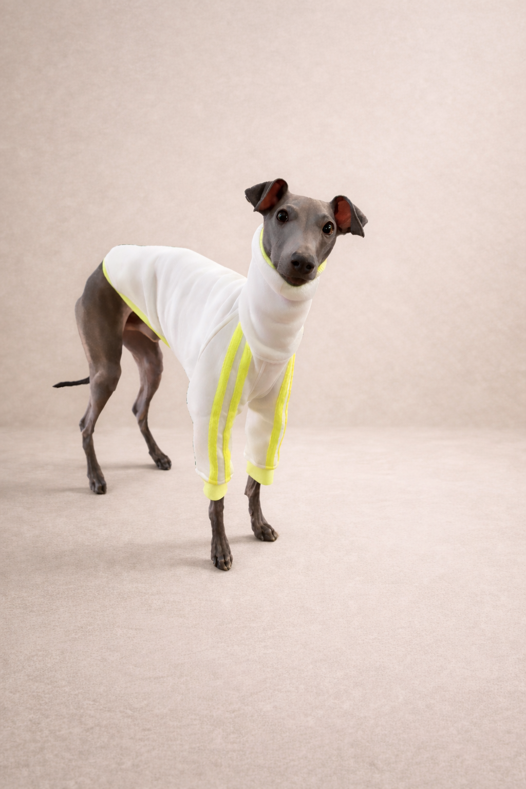 Urban Sprint Sweater weiss mit neon gelben Streifen