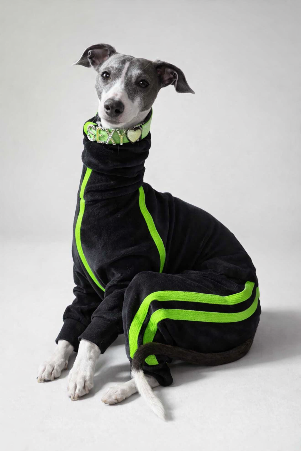 Urban Suede – Anzug für Italienische Windspiele schwarz mit grün