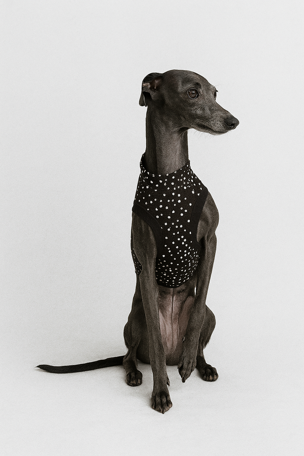 Schwarzes Shirt mit weissen Pünktchen