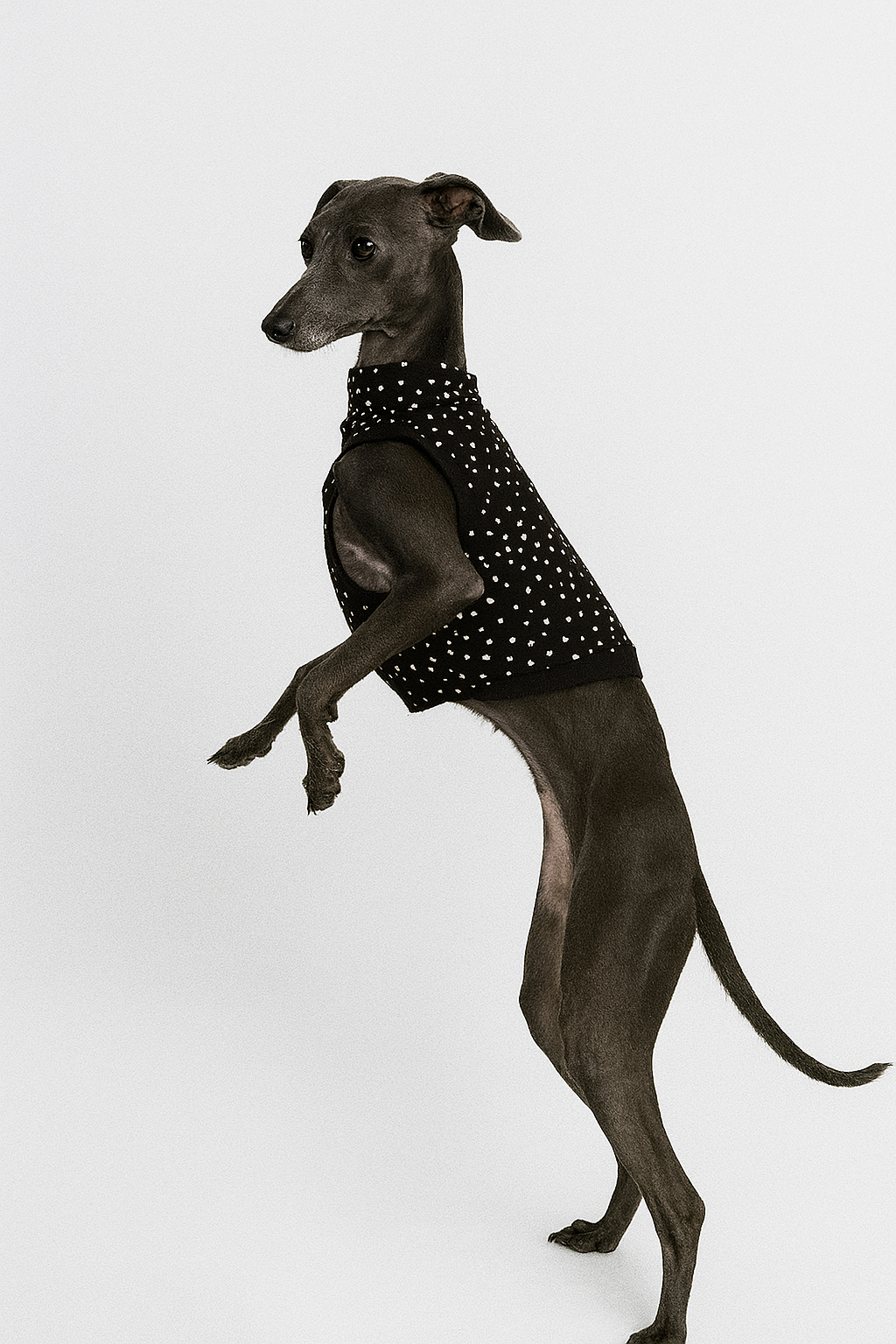 Schwarzes Shirt mit weissen Pünktchen