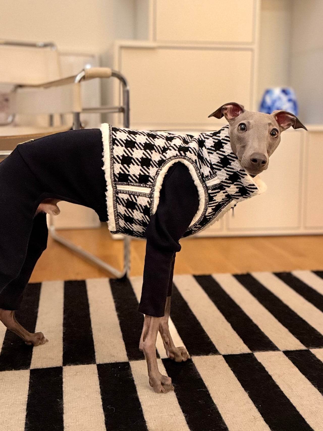 Karo Weste aus Wollmix – Stil & Wärme für anspruchsvolle Hunde