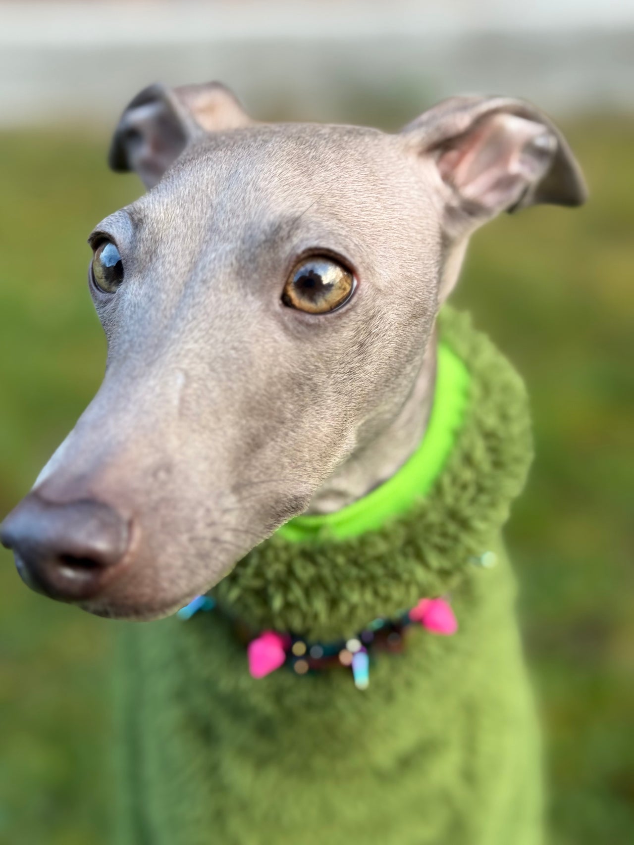 Urban Fleece Anzug grün – handgefertigt & maßgeschneidert