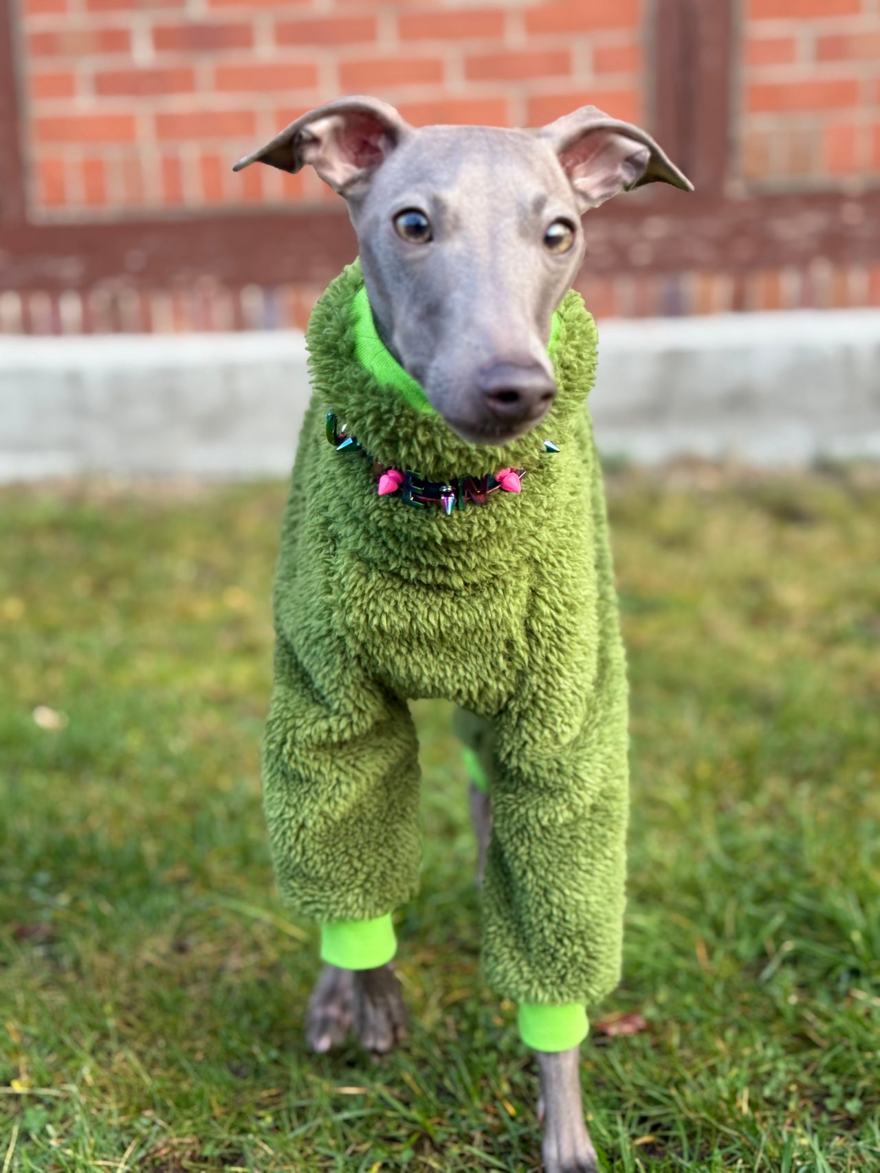 Urban Fleece Anzug grün – handgefertigt & maßgeschneidert