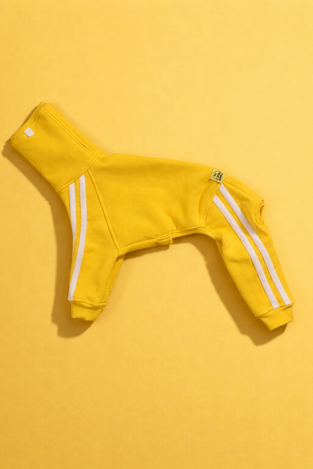 Urban Sprint – Suit for Italian Greyhounds, purple with neon orange reflective stripes