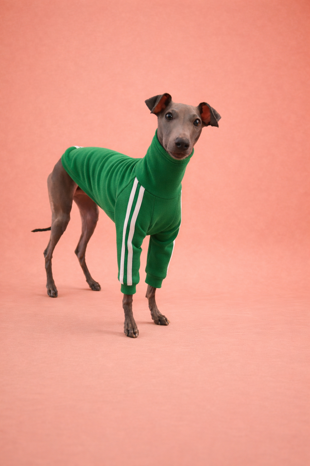 Urban Sprint Sweater grün mit weissen Streifen