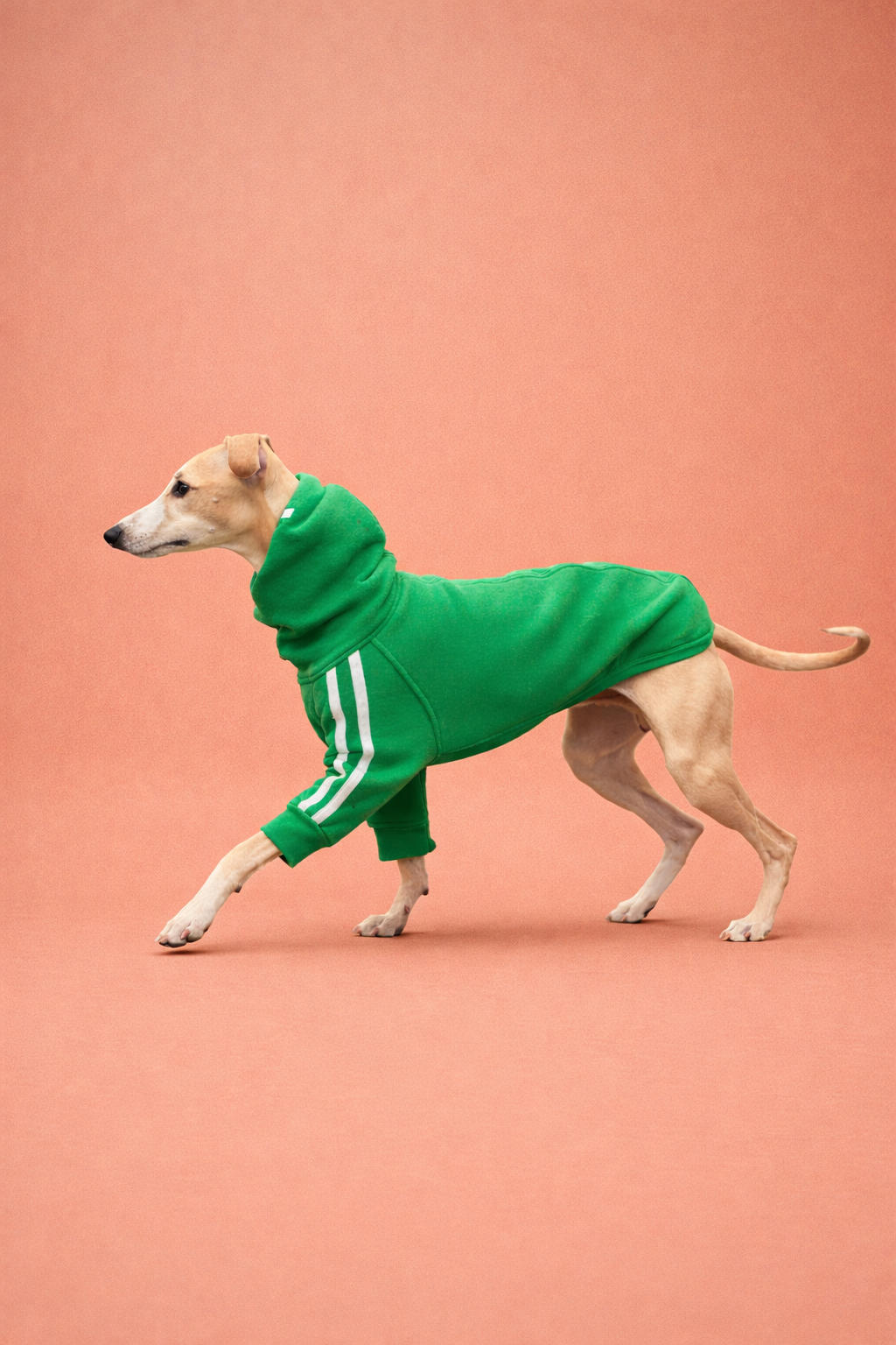 Urban Sprint Sweater grün mit weissen Streifen