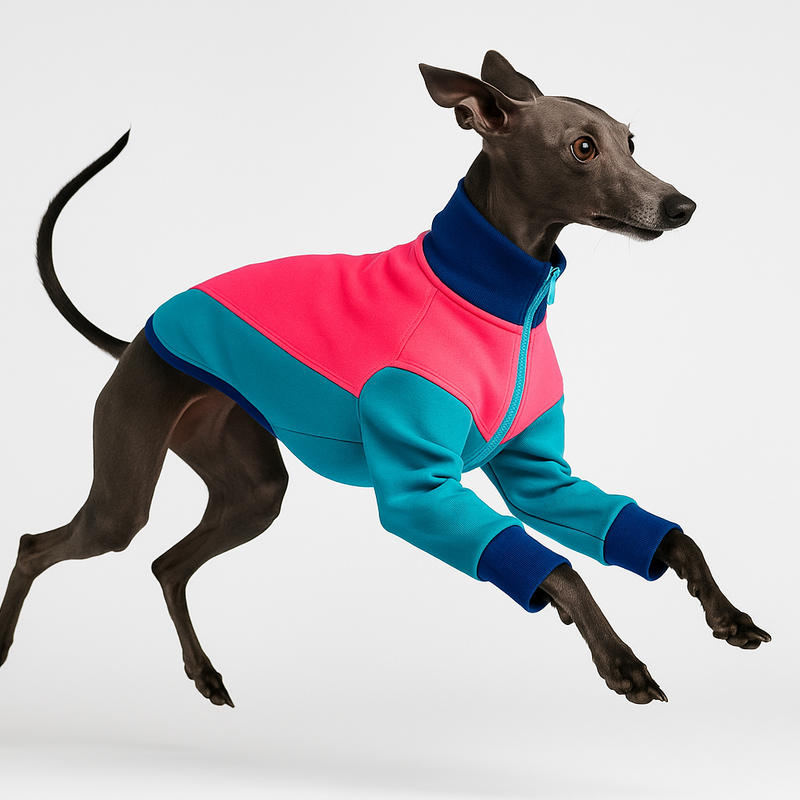 🐾 Born to be seen – Was unser Claim für uns bedeutet