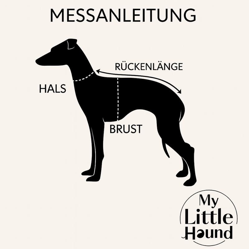 So misst du dein Italienisches Windspiel richtig aus – Der komplette Guide