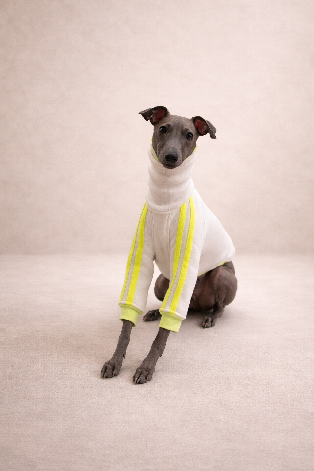 Urban Sprint Sweater weiss mit neon gelben Streifen