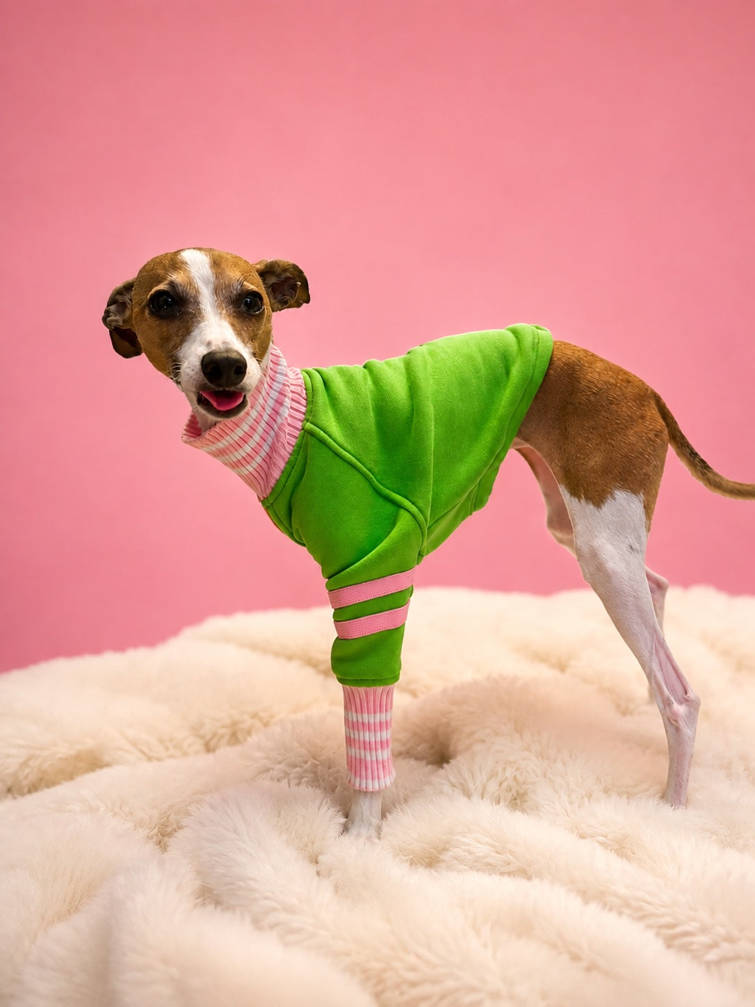 Candy Stripe Sweat