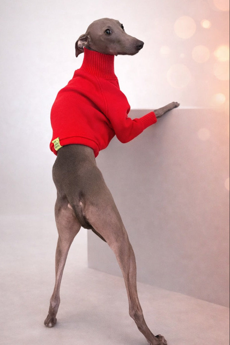 Windhund Pullover rot – weich, stilvoll & perfekt für alle Windhunde