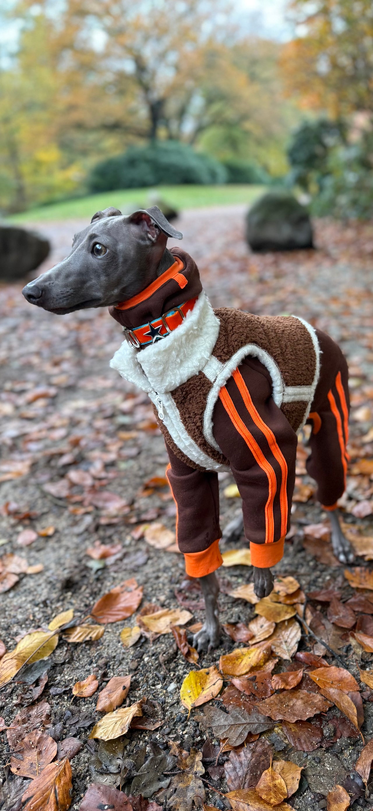 Cozy Chic – Plüschweste für Windspiele