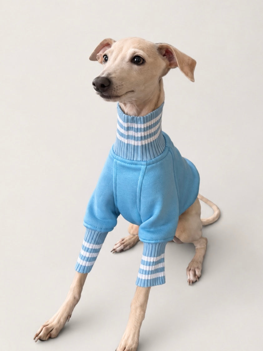 Puppy Stripe Sweater Sky