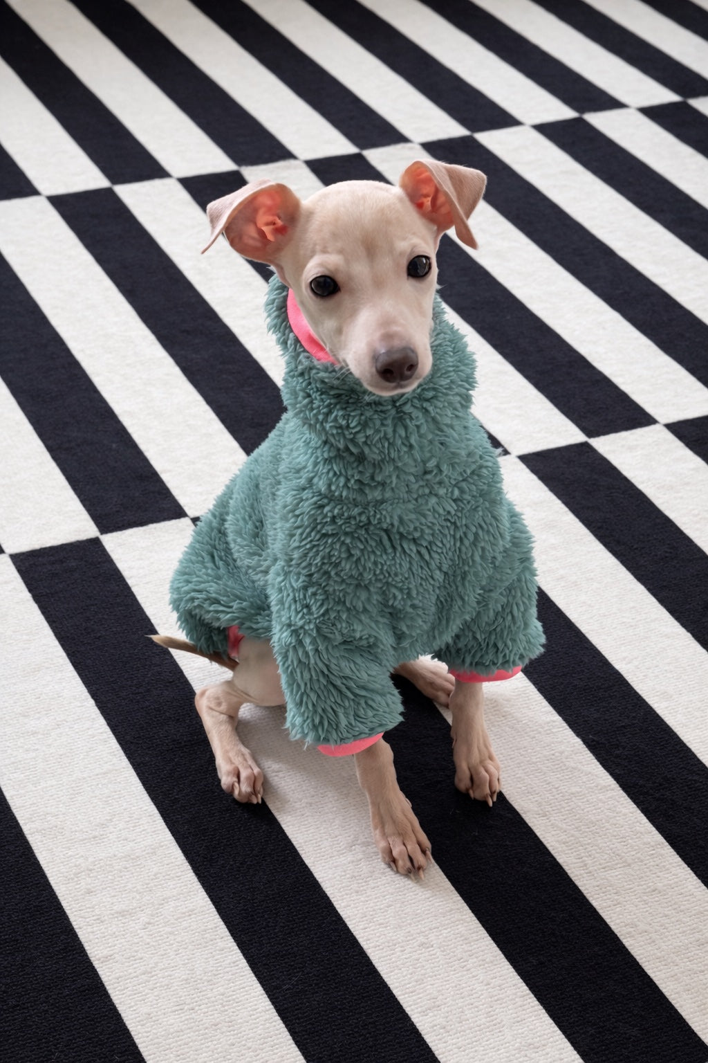 Puppy Sweater - Urban Fleece
