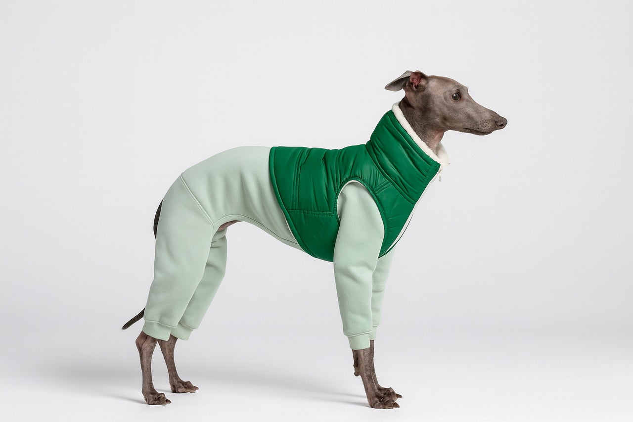 Steppweste mit Wollfutter - maßgeschneideter Winterkomfort für Sighthounds