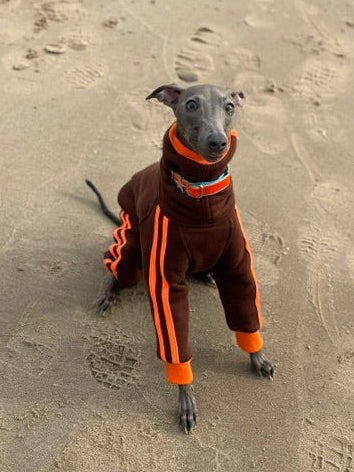 Urban Sprint – Anzug für Italienische Windspiele