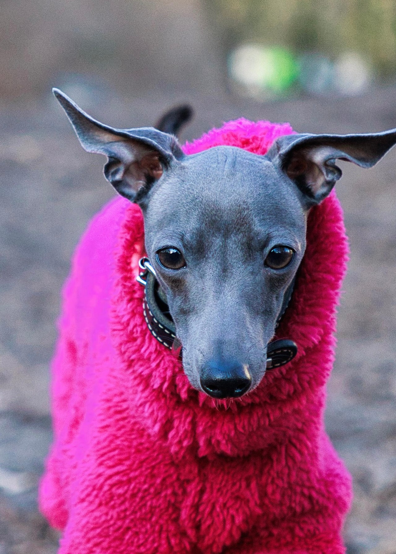 Urban Fleece Anzug pink – handgefertigt & maßgeschneidert