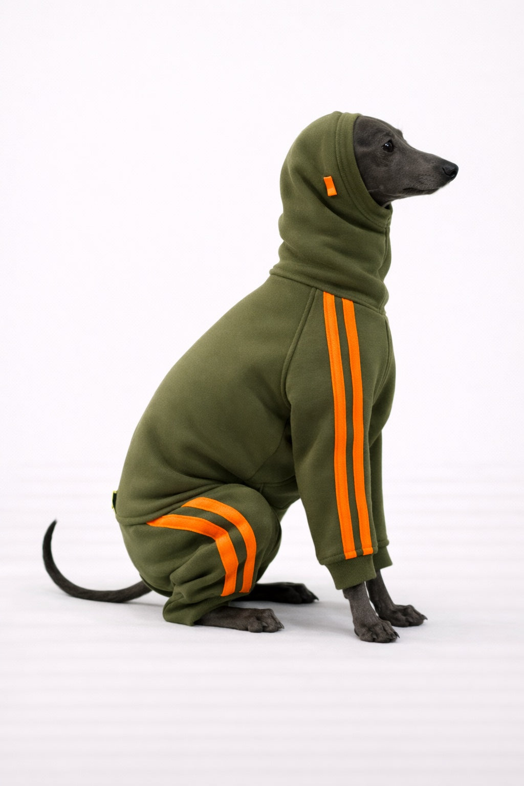 Urban Sprint – Anzug für Italienische Windspiele kaki mit neon orange