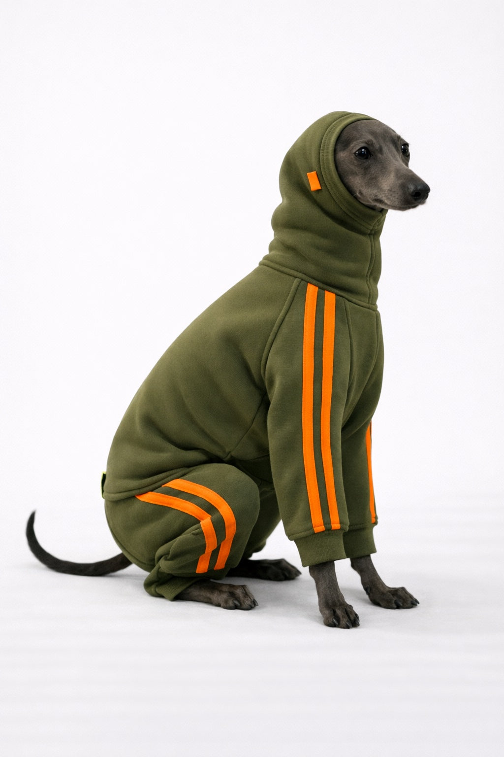 Urban Sprint – Anzug für Italienische Windspiele kaki mit neon orange