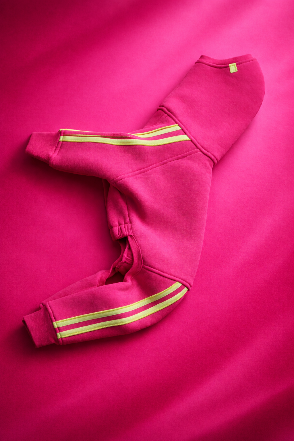 Urban Sprint – Suit for Italian Greyhounds, purple with neon orange reflective stripes